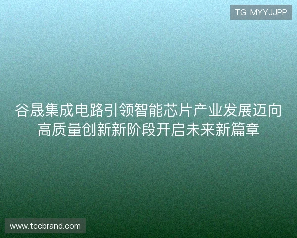 谷晟集成电路引领智能芯片产业发展迈向高质量创新新阶段开启未来新篇章